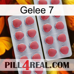 Jelly 7 19